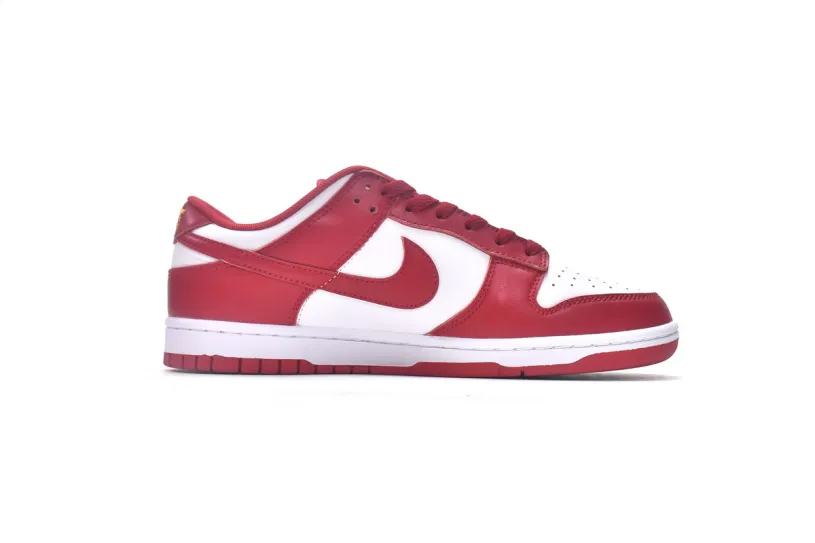The Best Nike Low Dunks For Girls In Middle School Low Gym Red DD1391-602