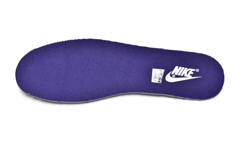 Blue Nike Dunk Low Low Championship Court Purple DD1391-104