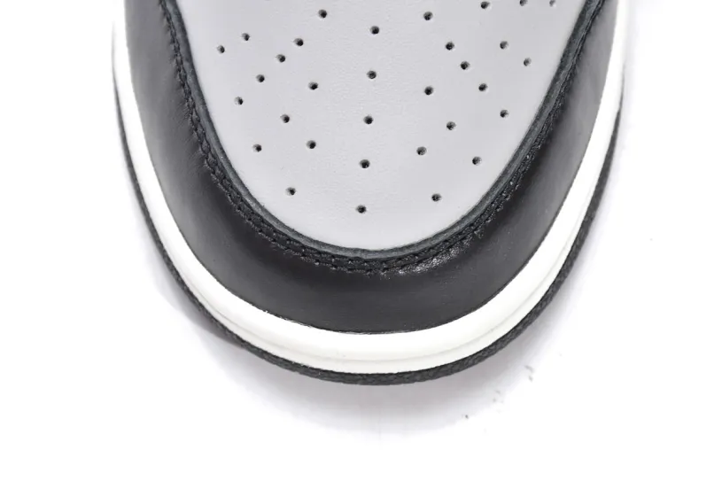 Nike Photon Dust Dunks Low Pro J-Pack Shadow DO7412-994