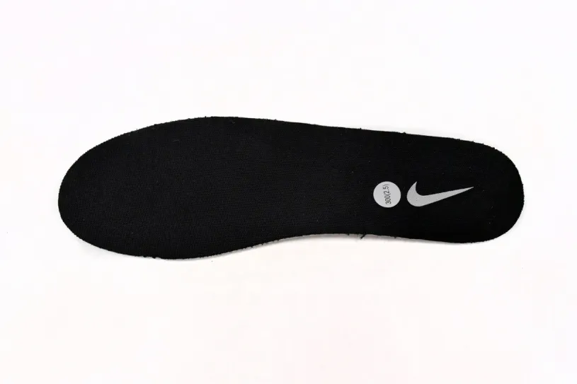 Nike AE86 Dunk DD1391-107