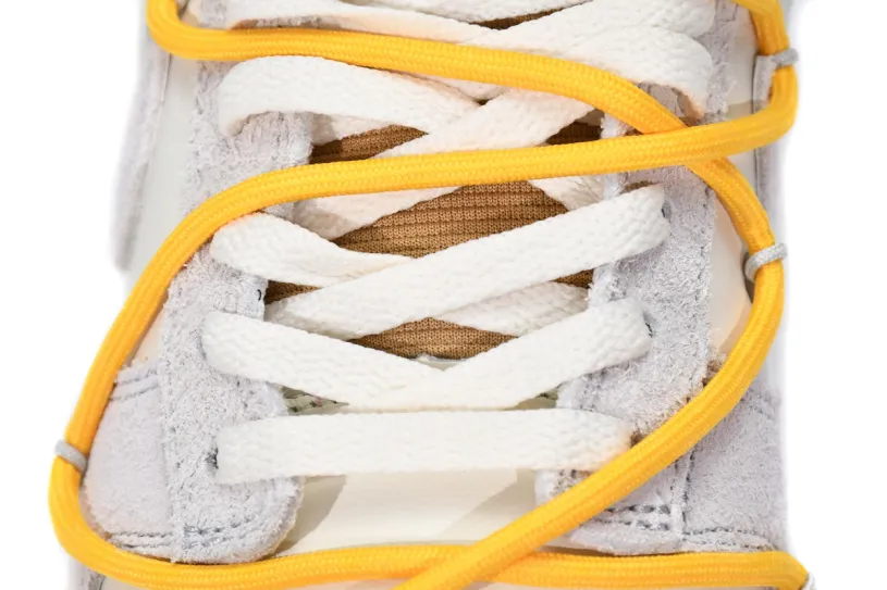 OFF WHITE x Nike Sb Dunk Low Freddy Krueger SB Low The 50 NO.39 DJ0950-109