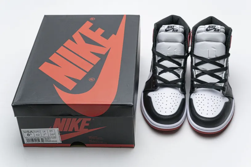 Air Jordan 1 Low Mocha Retro Black Toe (2016) 555088-125
