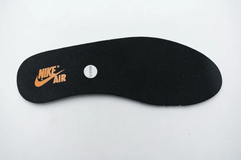 Air Jordan 1 Element Retro High Shattered Backboard 3.0 555088-028