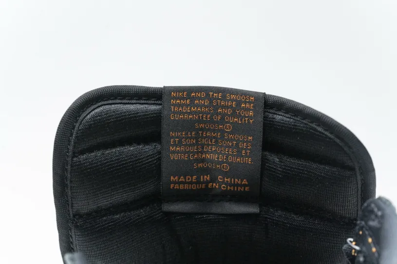 Air Jordan 1 Element Retro High Shattered Backboard 3.0 555088-028