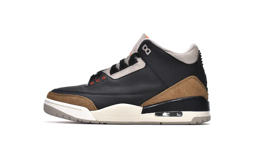 Air Jordan 3  Retro  Desert Elephant  CT8532-008