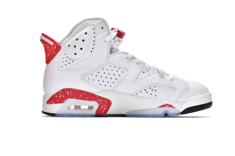 Replica Air Jordan 6 Brown Kelp Red Oreo CT8529-162