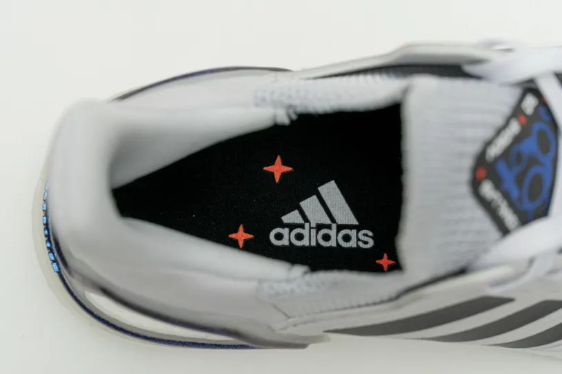 Adidas Ultra Boost 2020 ISS US National Lab Dash Grey Blue Violet EG0695