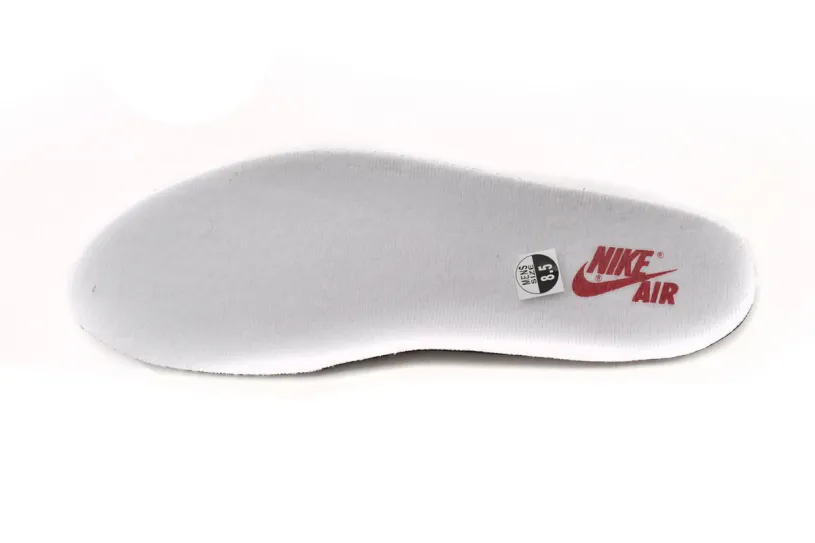 Air Jordan 1 Powder Blue Retro High  Chicago Lost and Found  DZ5485-612 (Top Quality)