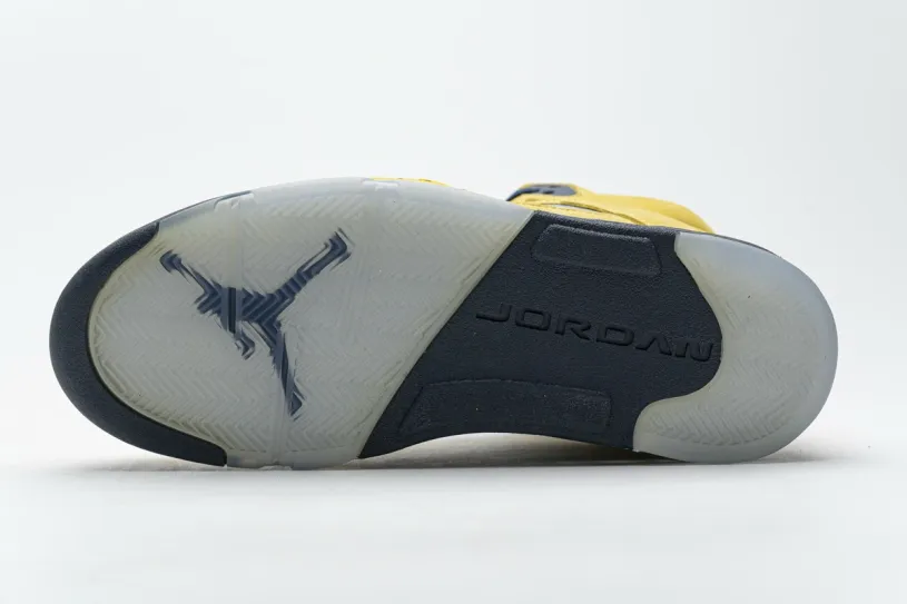 Air Jordan 5 Retro 'Concord' Retro Michigan (2019) CQ9541-704