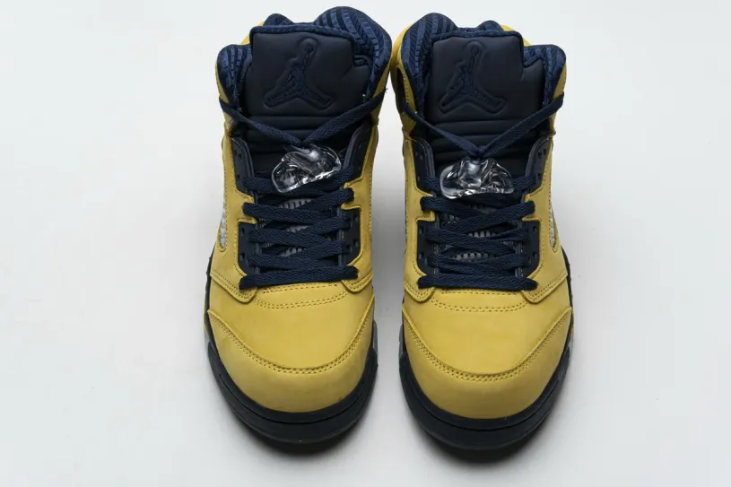 Air Jordan 5 Retro 'Concord' Retro Michigan (2019) CQ9541-704