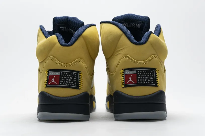 Air Jordan 5 Retro 'Concord' Retro Michigan (2019) CQ9541-704