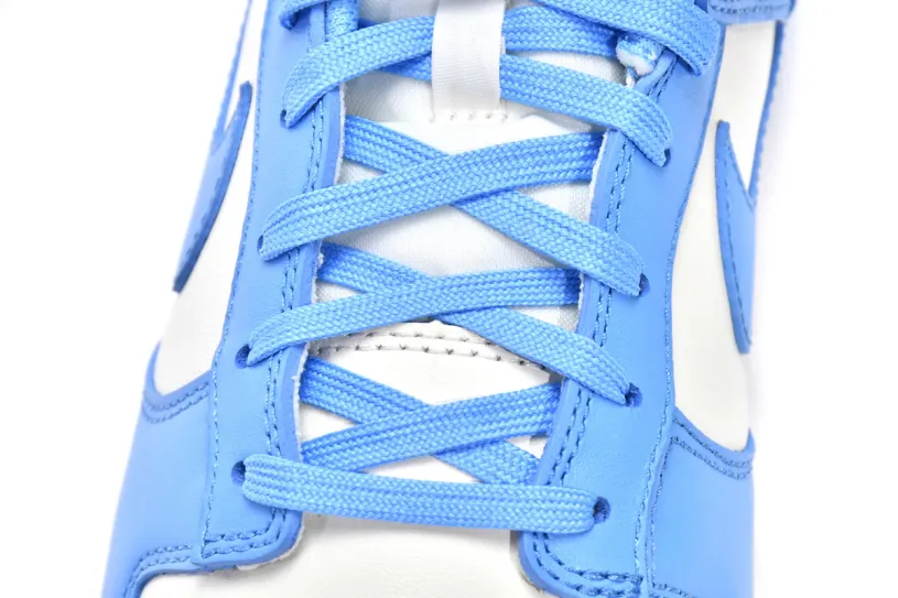 Nike Dunk Low Women's Shoes Low Coast DD1503-100