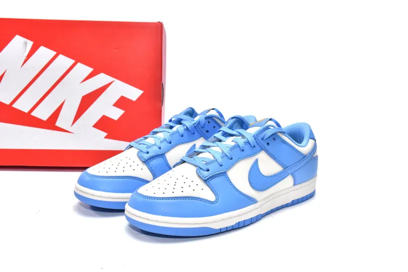 Nike Dunk Low Women's Shoes Low Coast DD1503-100