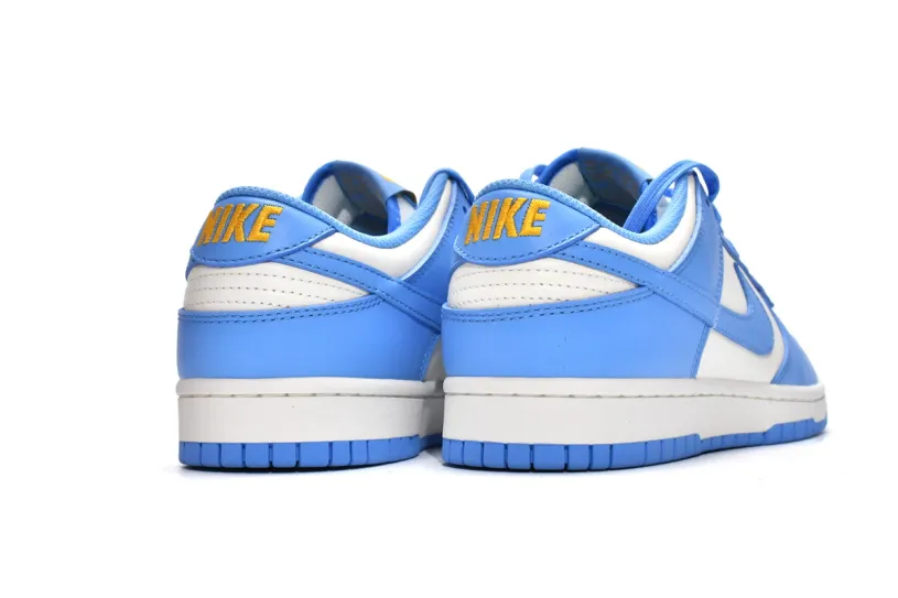 Nike Dunk Low Women's Shoes Low Coast DD1503-100