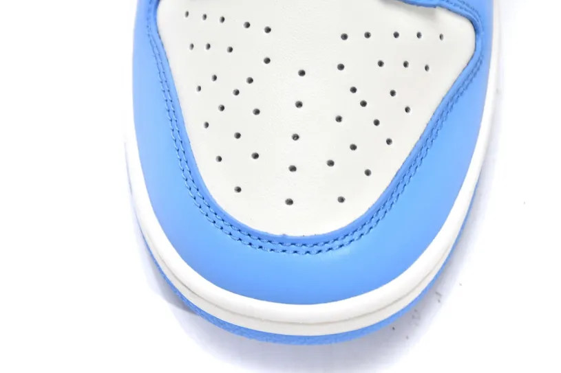 Nike Dunk Low Women's Shoes Low Coast DD1503-100