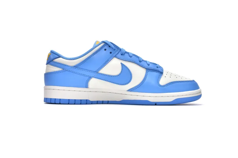 Nike Dunk Low Women's Shoes Low Coast DD1503-100