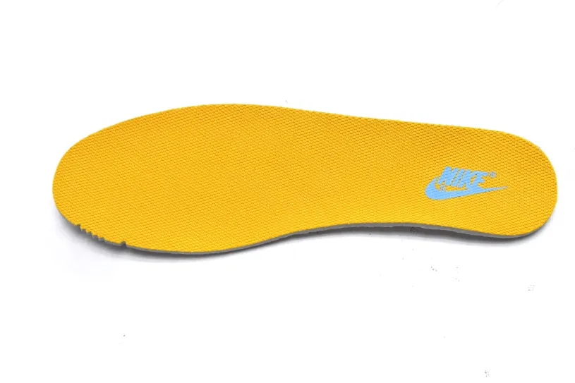 Nike Dunk Low Women's Shoes Low Coast DD1503-100