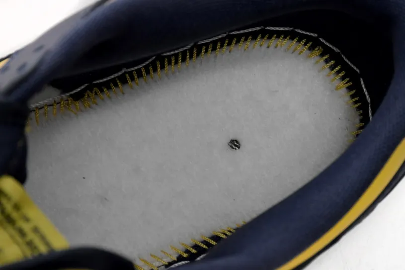 Womens Nike Dunk High Low Michigan DD1391-700