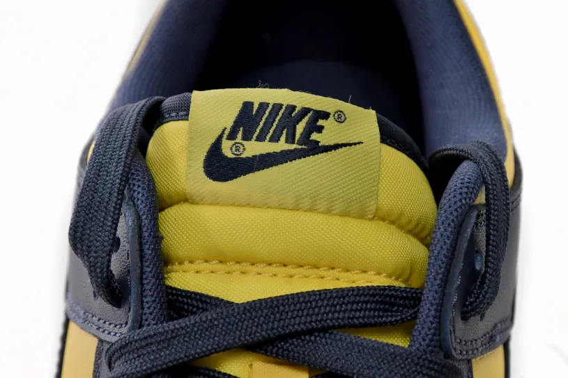 Womens Nike Dunk High Low Michigan DD1391-700