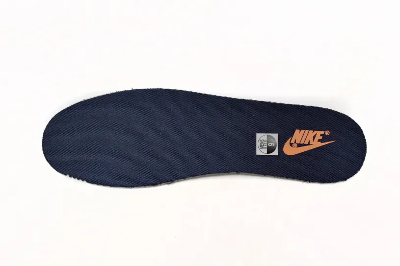 Womens Nike Dunk High Low Michigan DD1391-700