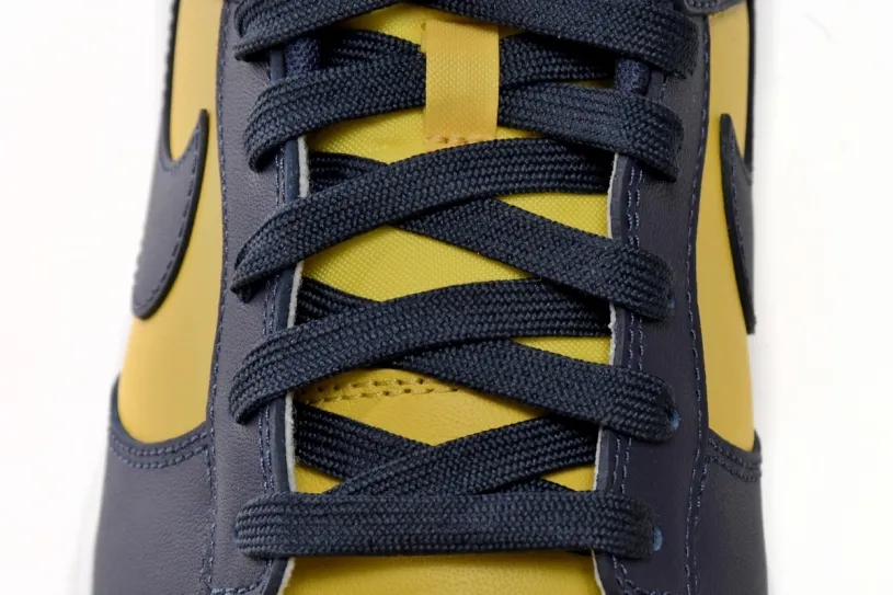 Womens Nike Dunk High Low Michigan DD1391-700