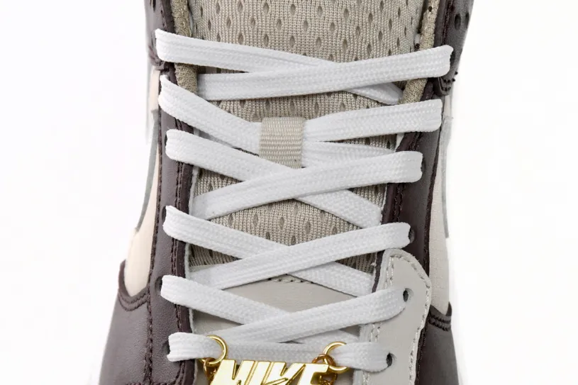 Nike Dunk Tightbooth Low Brown Basalt DX6060-111