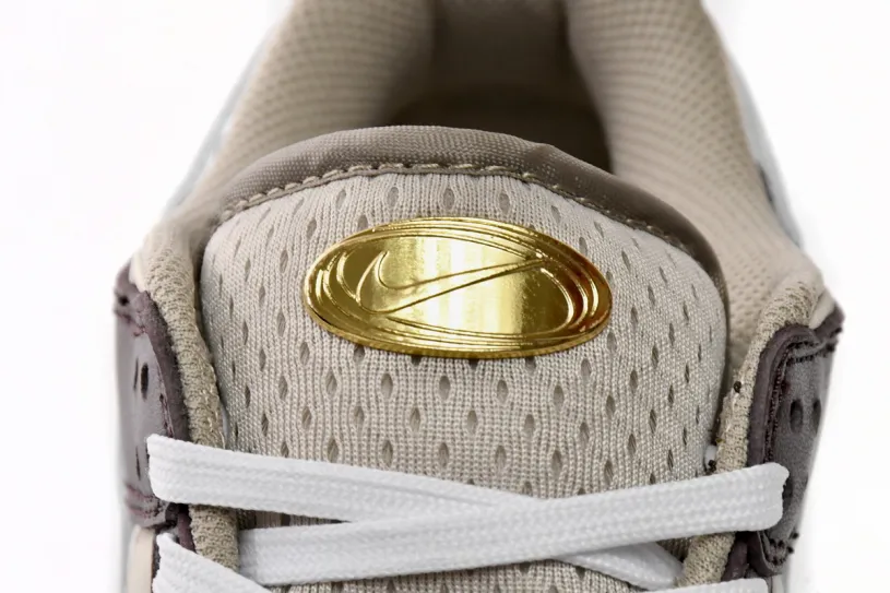 Nike Dunk Tightbooth Low Brown Basalt DX6060-111