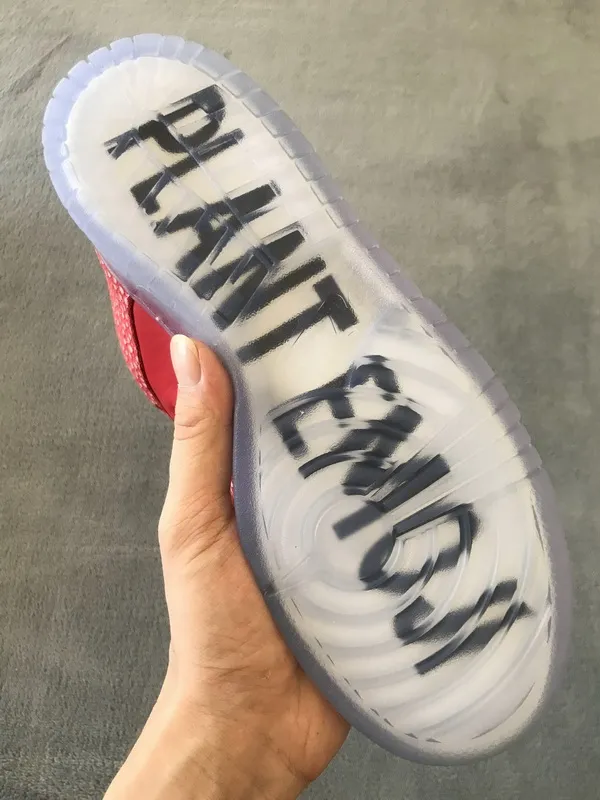 Stingwater x Nike SB Dunk Low OG QS Magic Mushroom DH7650-600