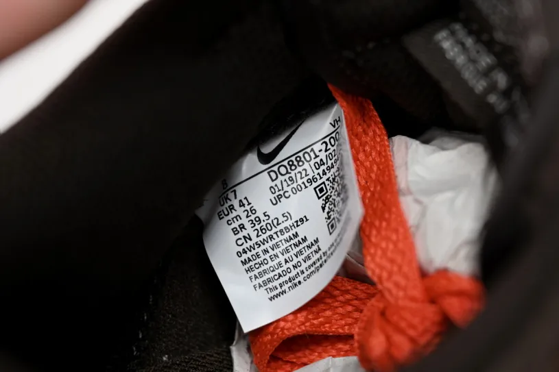 Nike Dunk Lows Light Blue Low Baroque Brown DQ8801-200