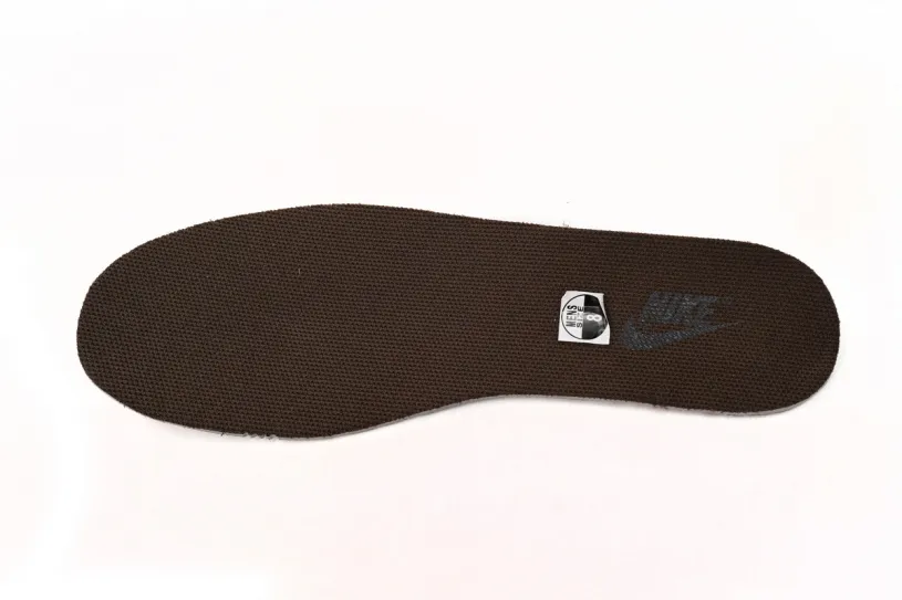 Nike Dunk Lows Light Blue Low Baroque Brown DQ8801-200