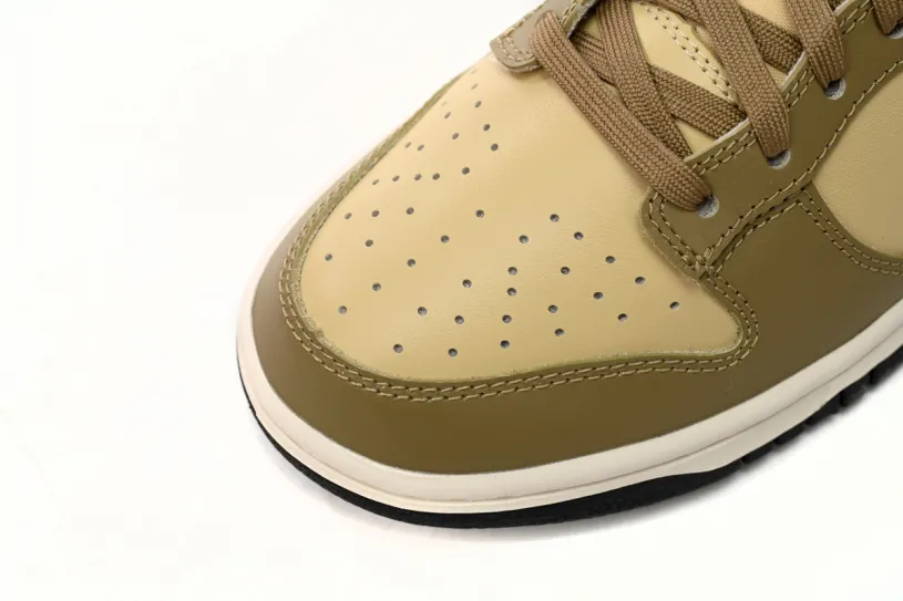 Nike Dunk Low Premium Light Orewood Brown Low Khaki Brown DD1503-200