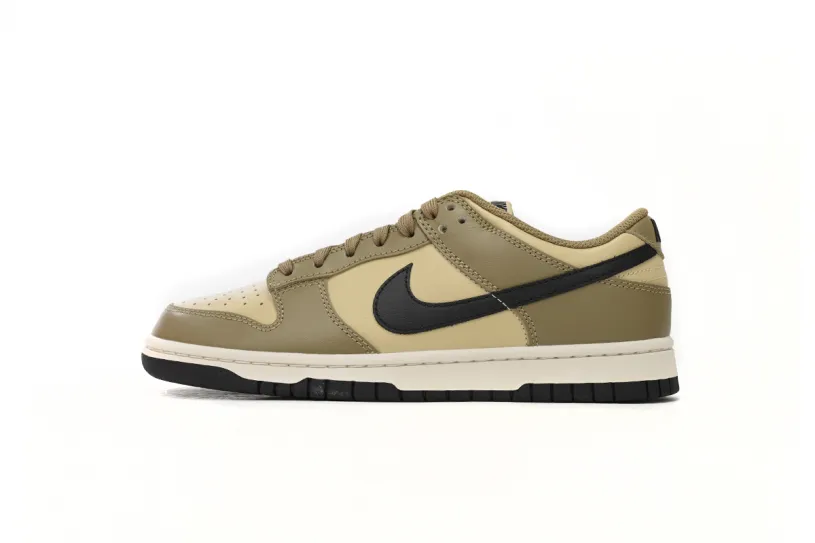 Nike Dunk Low Khaki Brown DD1503-200
