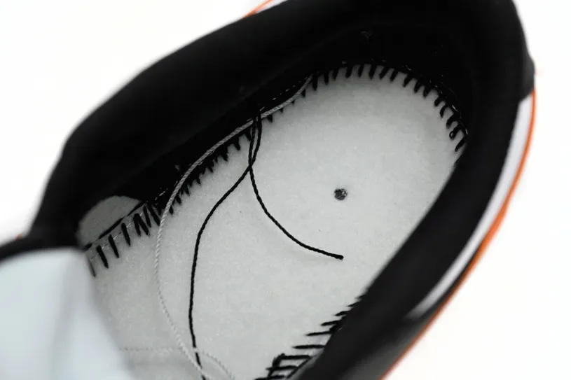 Neutral Nike Dunks Low RETRO PRM  FD4623-131