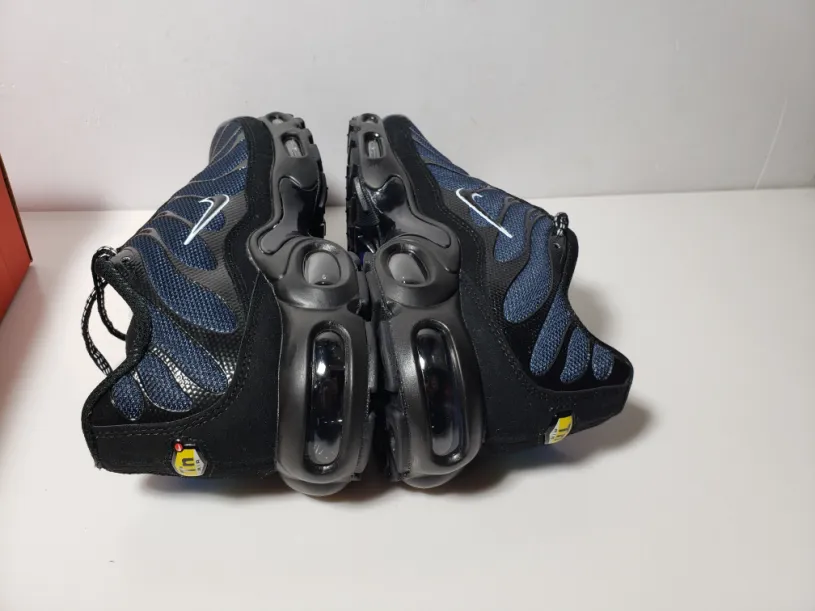 Nike Air Max Plus "Unity" DZ4509-001(Nike Tn)