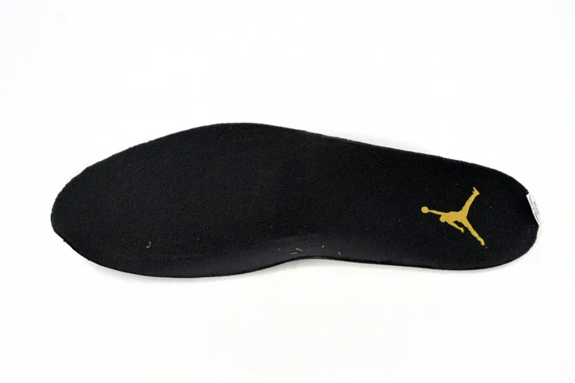 Air Jordan 12“Black Taxi” CT8013-071