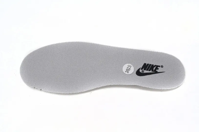 Nike Dunk Gone Fishing Low Flowering Messenger DD1503-117