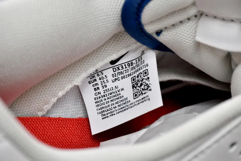 Nike Air Monarch Dunk Low Sail Blue DX3198-133