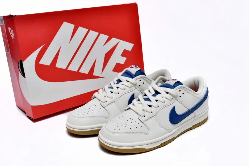 Nike Air Monarch Dunk Low Sail Blue DX3198-133