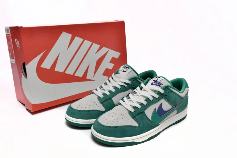 Nike Dunk Blue Low 85  DO9457-101