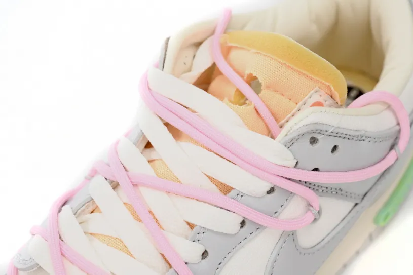 OFF WHITE x Nike Dunk Pigeon SB Low The 50 NO.09 DM1602-109