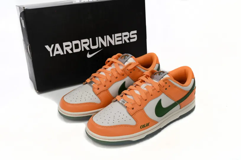 Chocolate Nike Dunks Low Florida A&M University DR6188-800