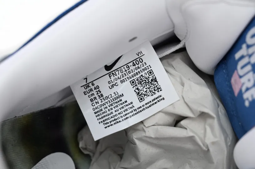 Born x Raised x Nike SB Dunk Low Blue White FN7819-400