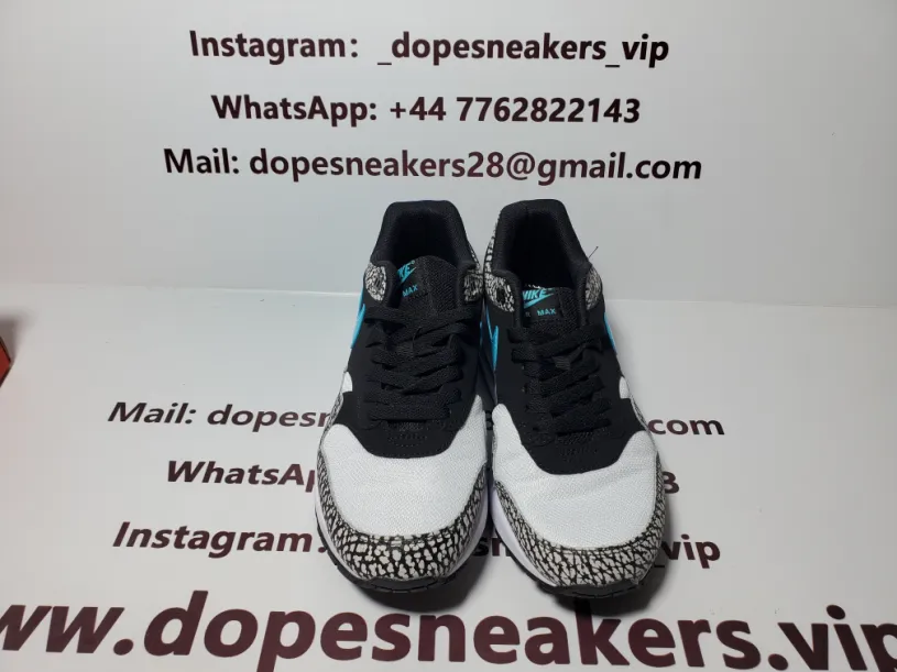 Nike Air Max 1 Atmos Elephant (2017)