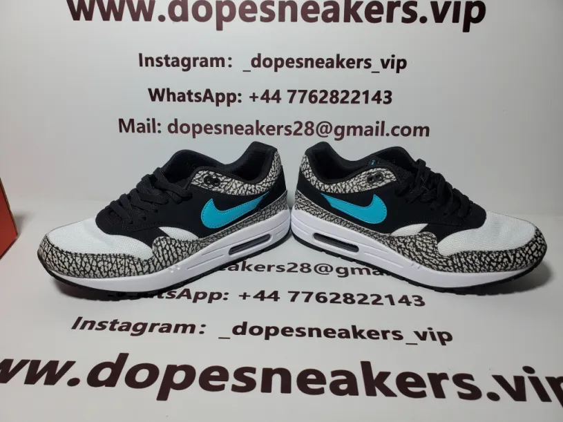 Nike Air Max 1 Atmos Elephant (2017)