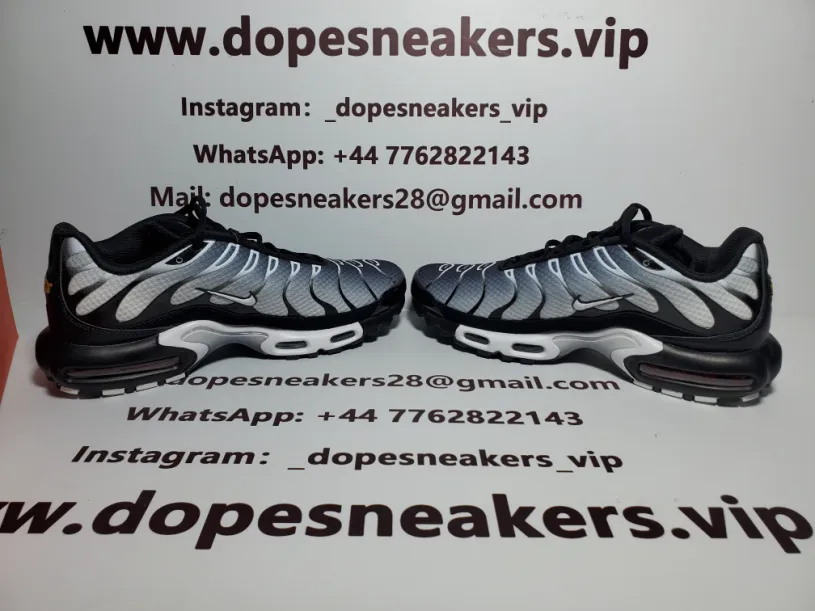 Nike Air Max Plus Black Metallic Silver