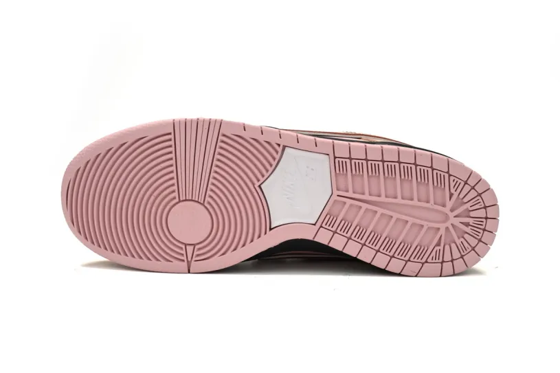 CONCEPTS × Pink Nike Dunks Low SB Pink Lobster BV1310-800