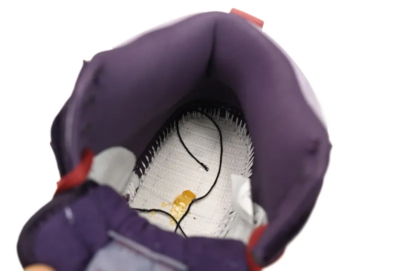 Grey Nike Dunk High SB High Daybreak Plum 313171-500