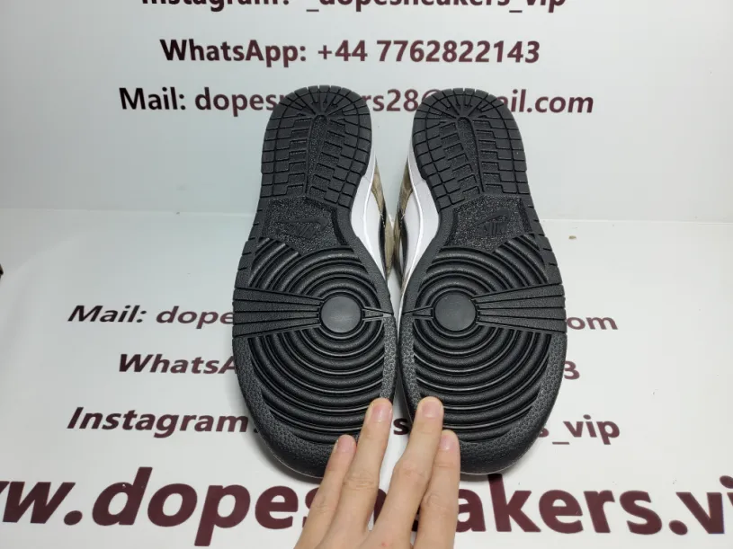 Nike SB Dunk Low Trail White Brown 304292-102