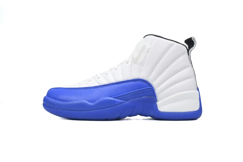 Air Jordan 12 “Blueberry” CT8013-140